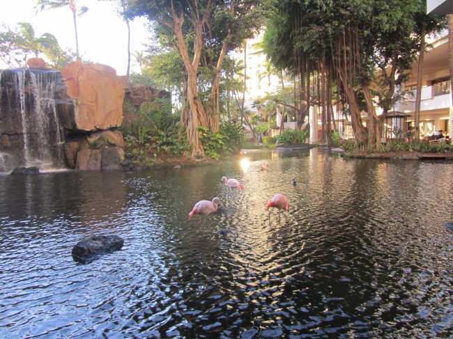 The Westin Ka'anapli Resort and Spa