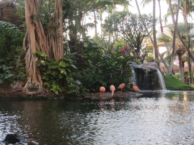 The Westin Ka'anapli Resort and Spa