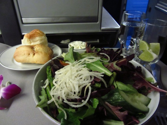 American Airlines FIrst Class
