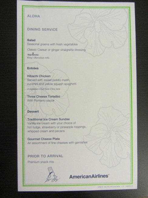 American Airlines FIrst Class