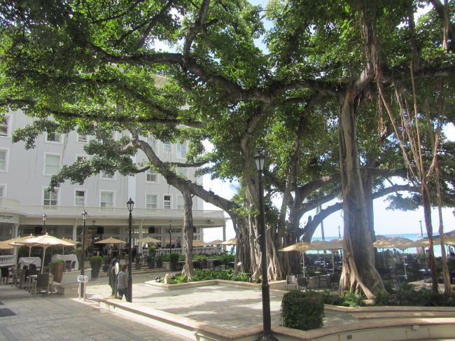 The Moana Surfrider Waikiki