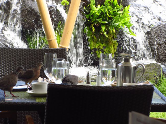 Westin Princeville Ocean Resort Villas