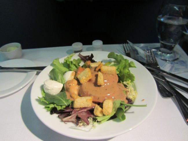 United Airlines Business Class Newark to Milan